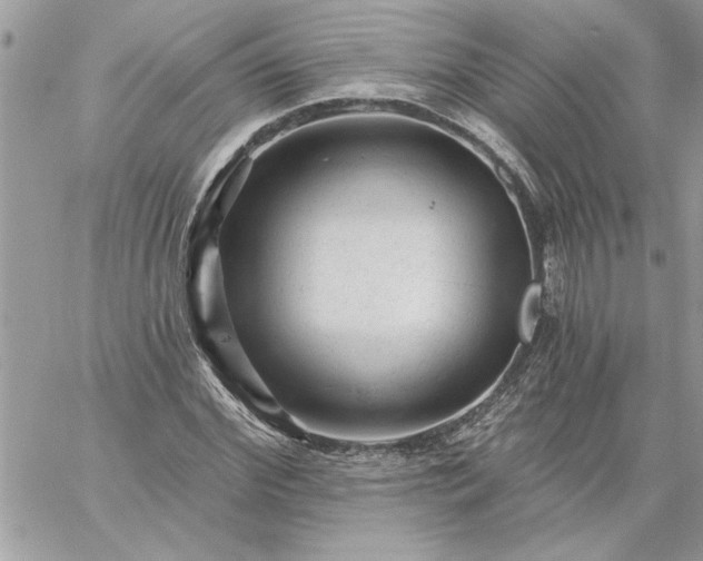 X0000059080972200510172025