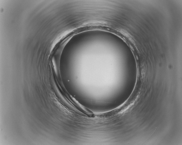 X0000059080973200510172025