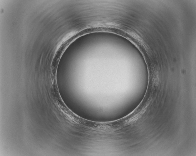 X0000059080974200510172025