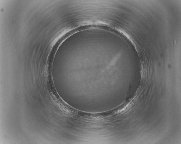 X0000059080975200510172025