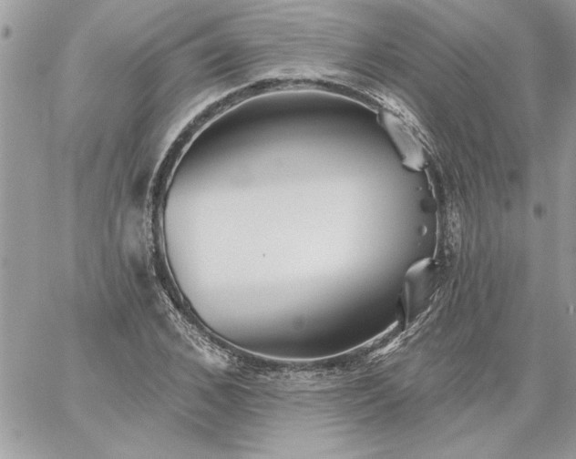 X0000059080976200510172025