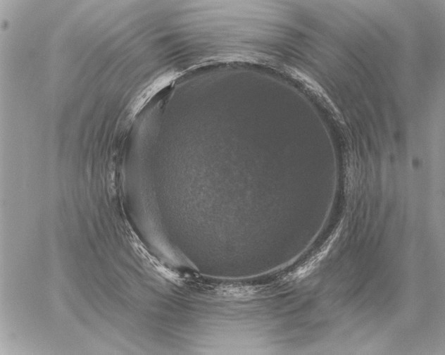 X0000059080977200510172025