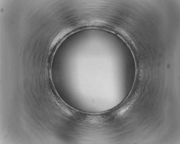 X0000059080978200510172025