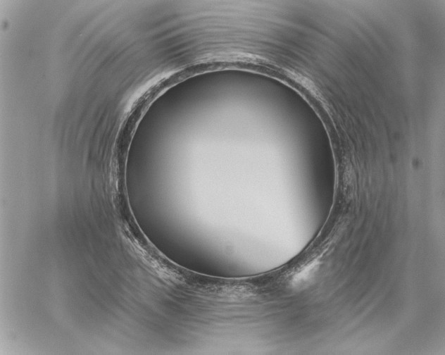 X0000059080979200510172025