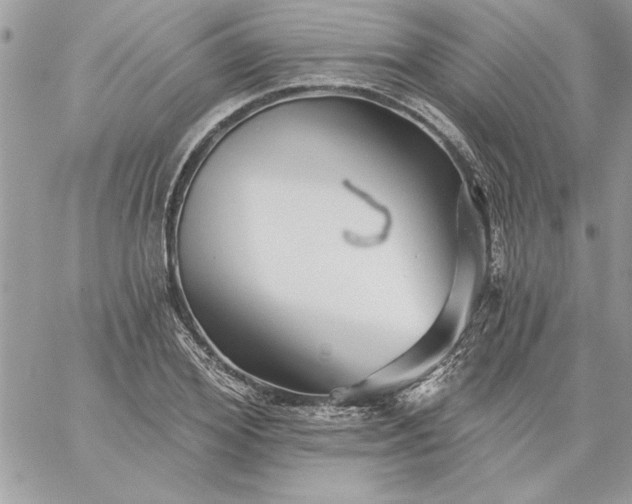 X0000059080980200510172025