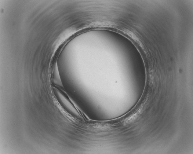 X0000059080981200510172025