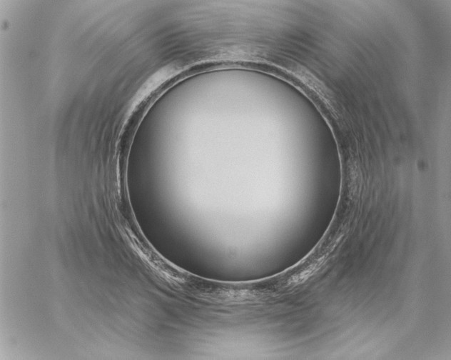 X0000059080982200510172025