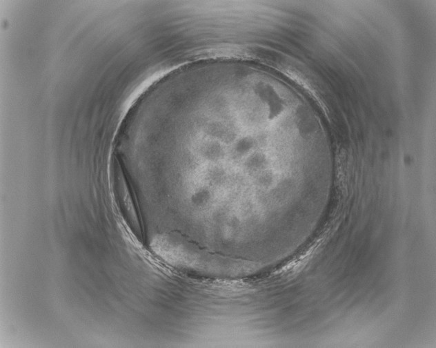 X0000059080983200510172025