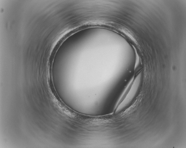 X0000059080984200510172025