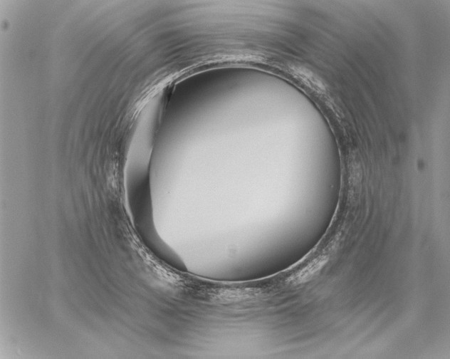 X0000059080985200510172025