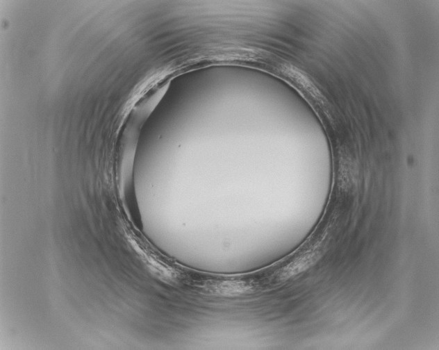 X0000059080986200510172025