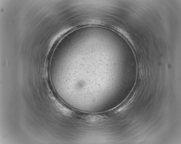 X0000059080987200510172025