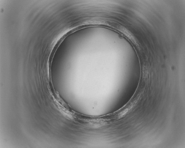 X0000059080988200510172025