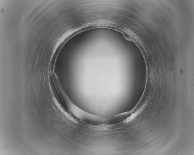 X0000059080989200510172025