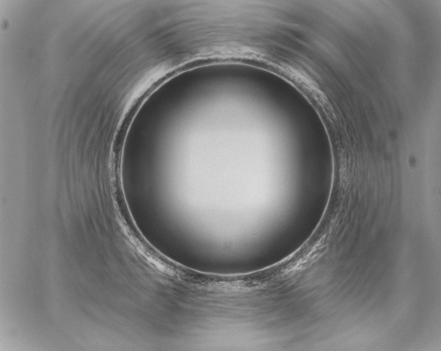 X0000059080990200510172025