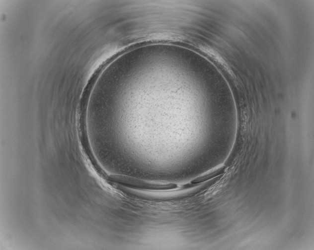 X0000059080991200510172025