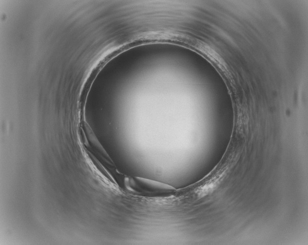 X0000059080992200510172025