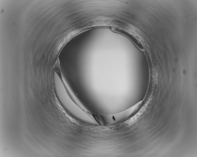 X0000059080993200510172025