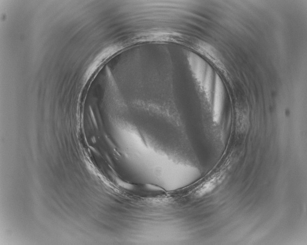 X0000059080994200510172025