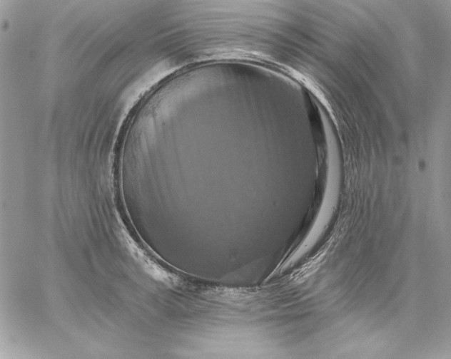 X0000059080995200510172025