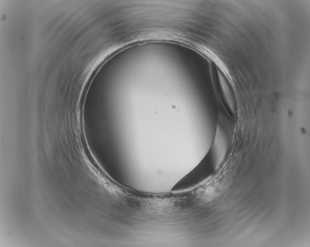 X0000059080996200510172025