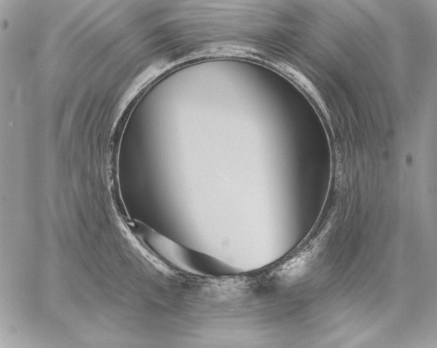 X0000059080997200510172025