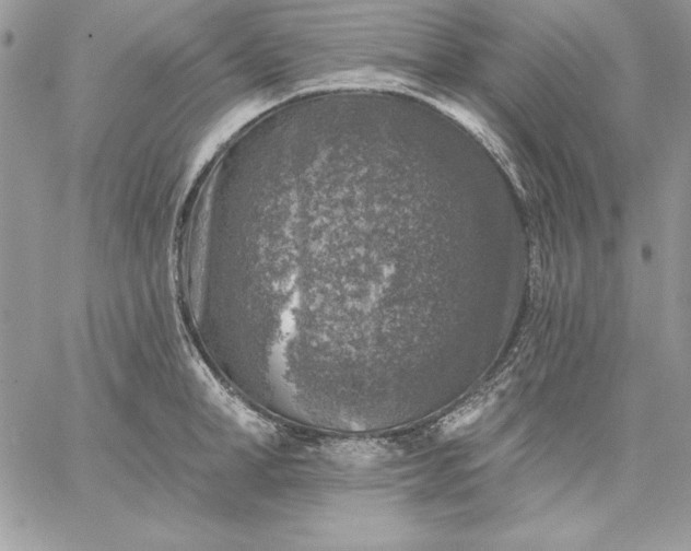 X0000059080998200510172025