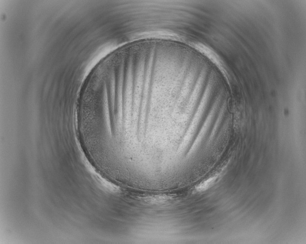 X0000059080999200510172025