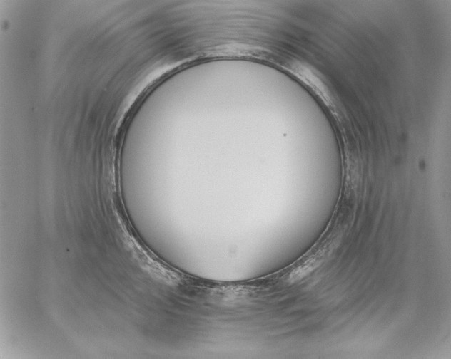 X0000059081000200510172025