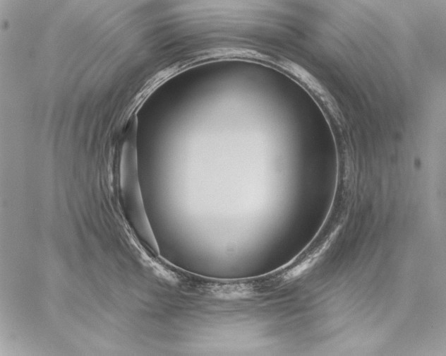 X0000059081001200510172025