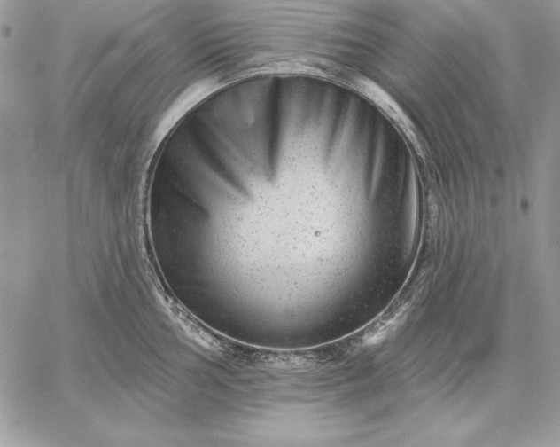 X0000059081002200510172025