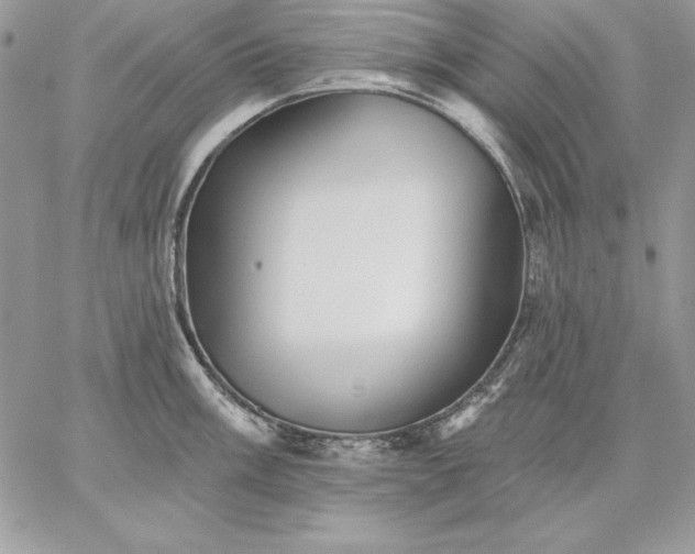 X0000059081003200510172025