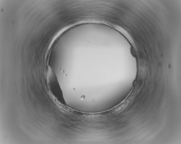 X0000059081004200510172025