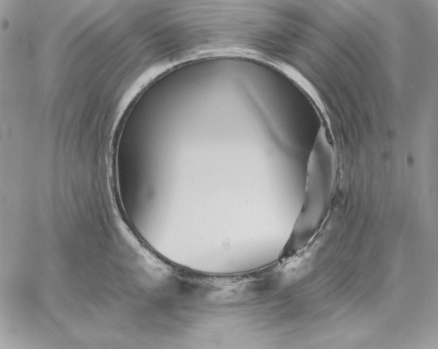 X0000059081005200510172025