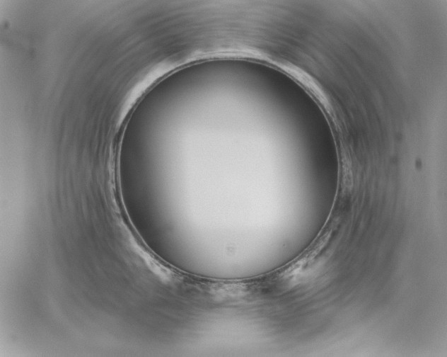 X0000059081006200510172025