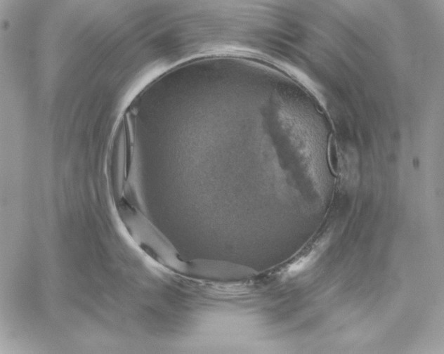 X0000059081007200510172025