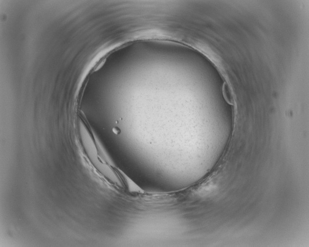 X0000059081008200510172025