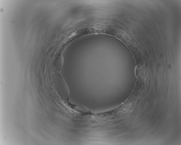 X0000059081009200510172024