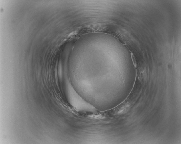 X0000059081010200510172024