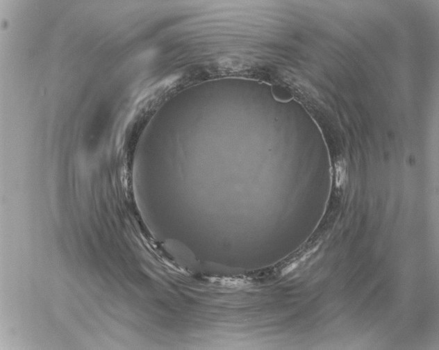 X0000059081011200510172024