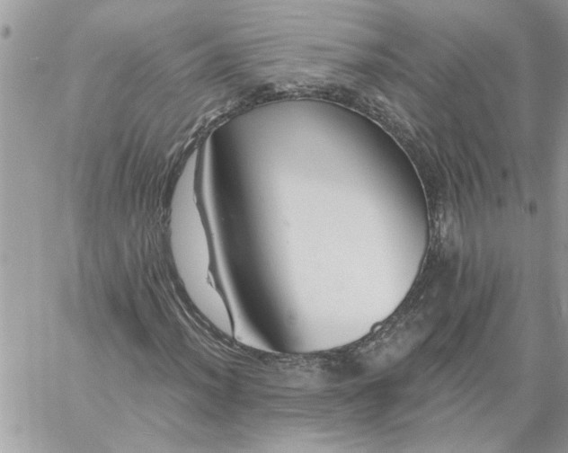 X0000059081012200510172024