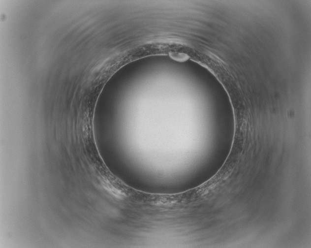 X0000059081014200510172024