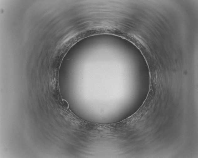 X0000059081015200510172024