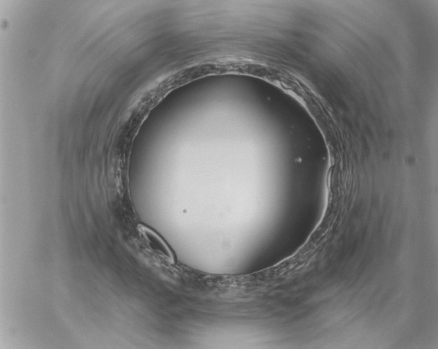 X0000059081016200510172024