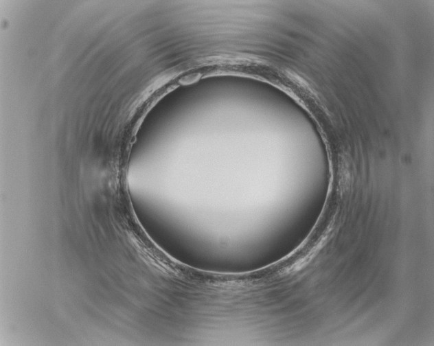 X0000059081017200510172024