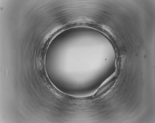 X0000059081018200510172024