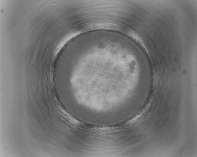 X0000059081019200510172024