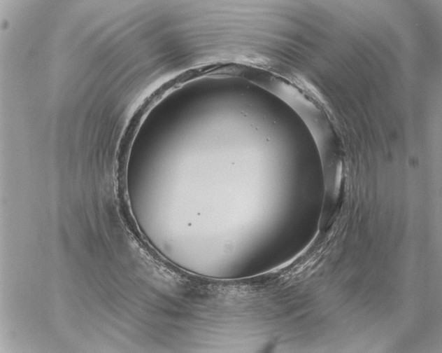 X0000059081020200510172024