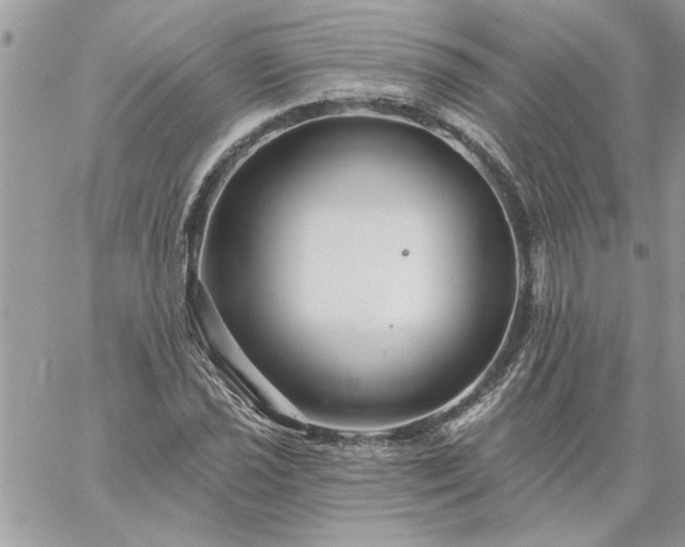 X0000059081021200510172024