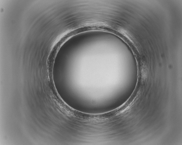 X0000059081022200510172024